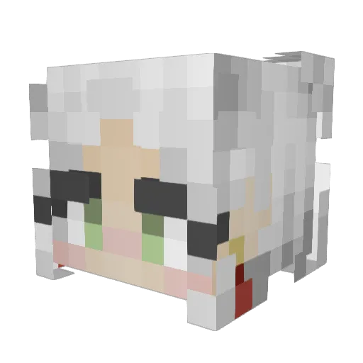 Rassilon056 Minecraft avatar head, 3D render