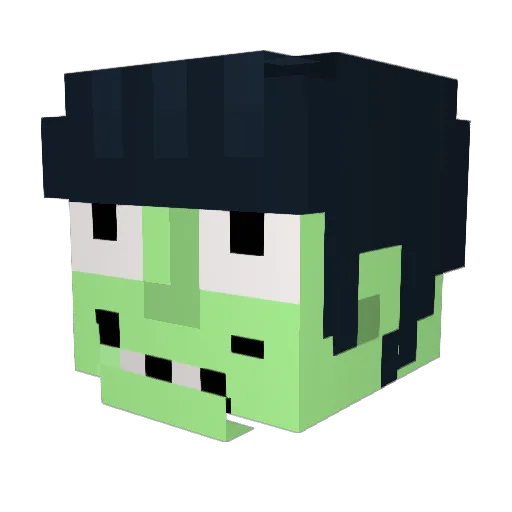 Rassinn12 Minecraft avatar head, 3D render