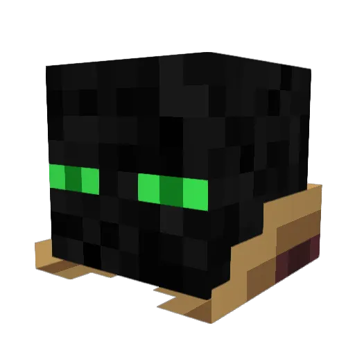 Rast1034 Minecraft avatar head, 3D render