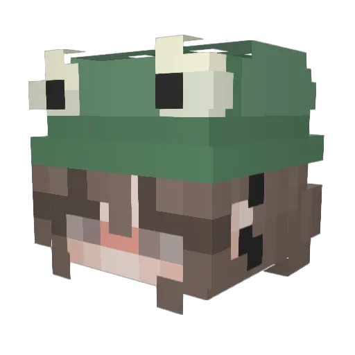 Rasta346 Minecraft avatar head, 3D render