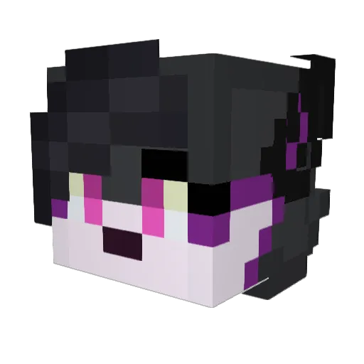 Rasta57180 Minecraft avatar head, 3D render