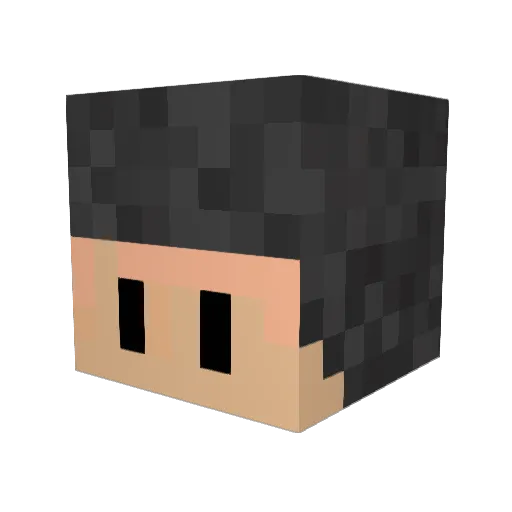 RastaBounty Minecraft avatar head, 3D render