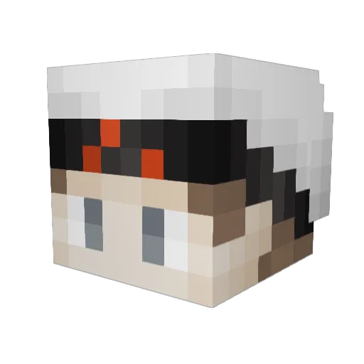 Rastacookie1 Minecraft avatar head, 3D render