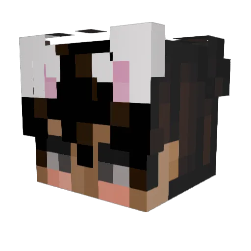 Rastoxx00 Minecraft avatar head, 3D render
