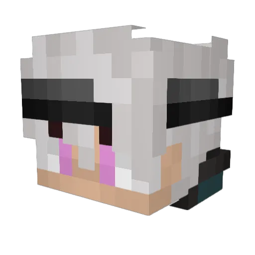 Rasty966 Minecraft avatar head, 3D render