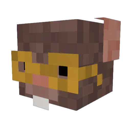 Rat2619 Minecraft avatar head, 3D render