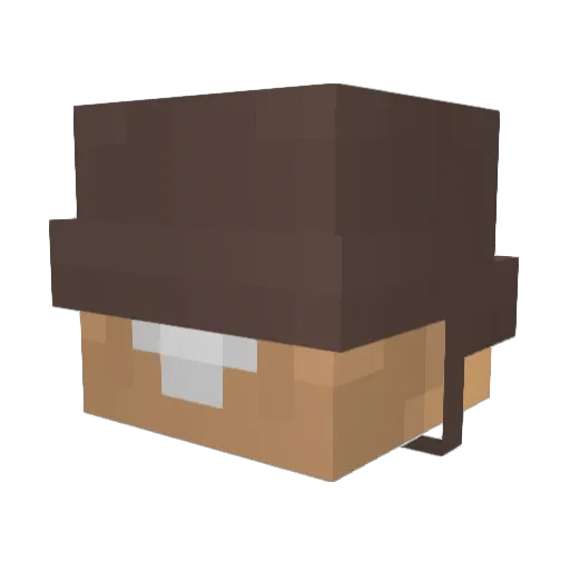 RatNamedToby Minecraft avatar head, 3D render