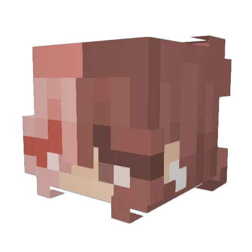 RatQueen4172 Minecraft avatar head, 3D render
