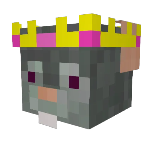 RatQueen_Flatty Minecraft avatar head, 3D render