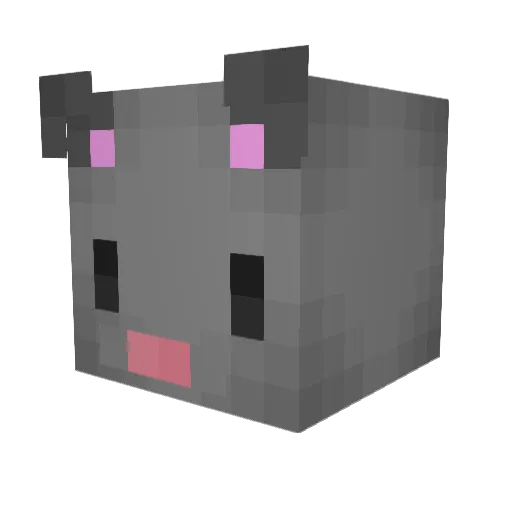 RatTail4896 Minecraft avatar head, 3D render