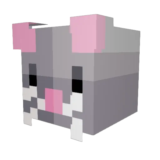 RatTheRat1111 Minecraft avatar head, 3D render