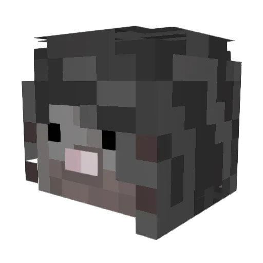 RatThrat Minecraft avatar head, 3D render