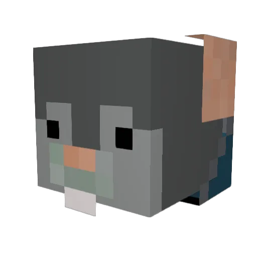 RatZart08 Minecraft avatar head, 3D render