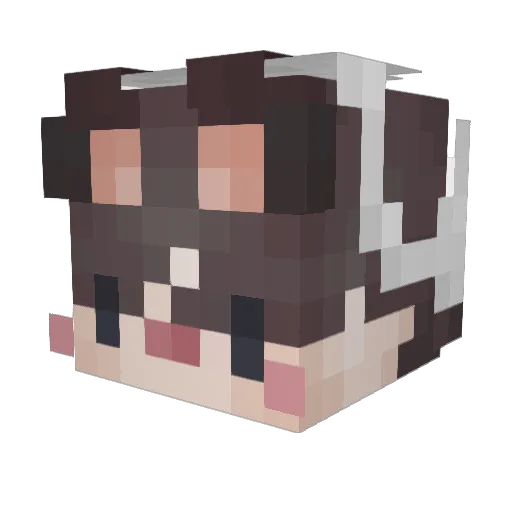 Rat_Bug Minecraft avatar head, 3D render