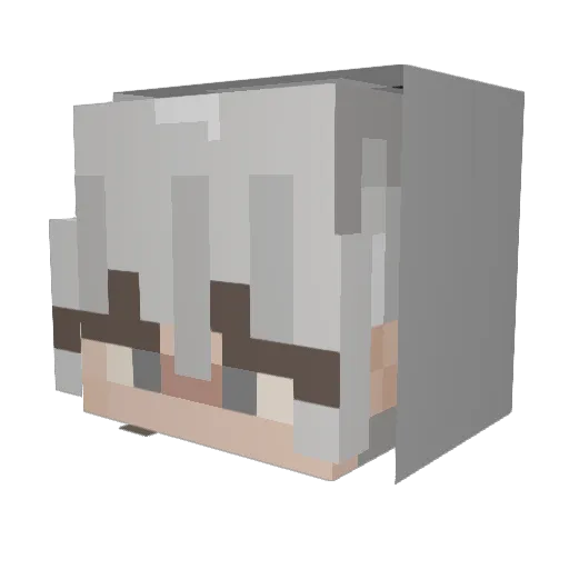 Rat_Muncher Minecraft avatar head, 3D render