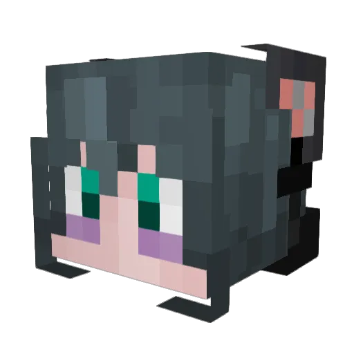 RatatonicMC Minecraft avatar head, 3D render