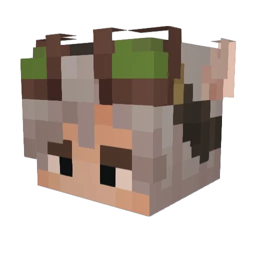 Ratatouille336 Minecraft avatar head, 3D render