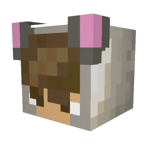 Ratattoz Minecraft avatar head, 3D render