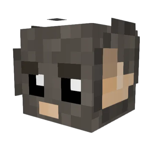 Ratchet404 Minecraft avatar head, 3D render