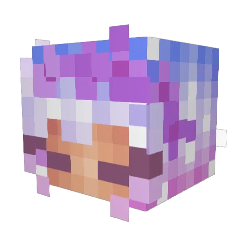 RatedImmature69 Minecraft avatar head, 3D render