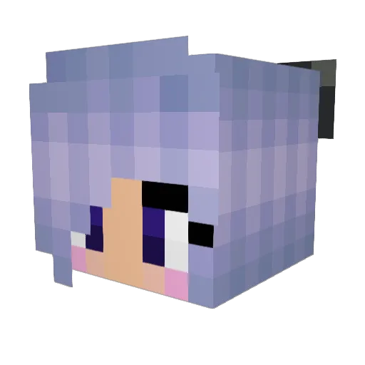 RatedPForPanda Minecraft avatar head, 3D render