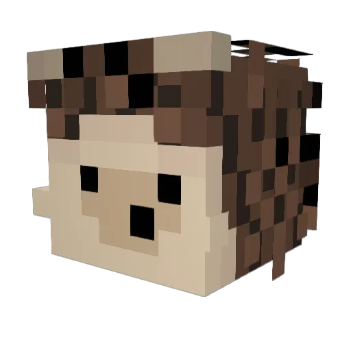 Ratekyu Minecraft avatar head, 3D render