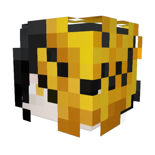Raten_flash Minecraft avatar head, 3D render