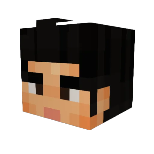 Ratenjoyer6423 Minecraft avatar head, 3D render