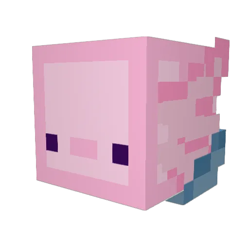 Ratheion Minecraft avatar head, 3D render