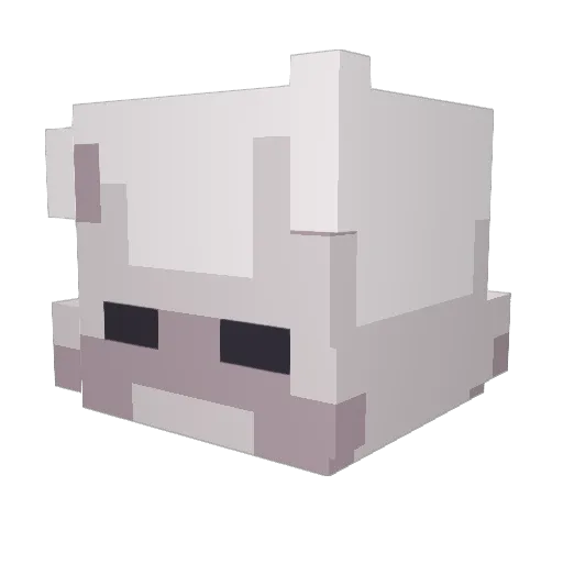 RatieSquash Minecraft avatar head, 3D render