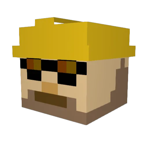 Rationalman344 Minecraft avatar head, 3D render