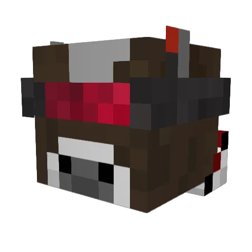 RatixMC Minecraft avatar head, 3D render