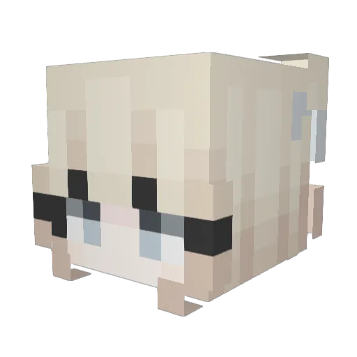Ratkeeper13 Minecraft avatar head, 3D render