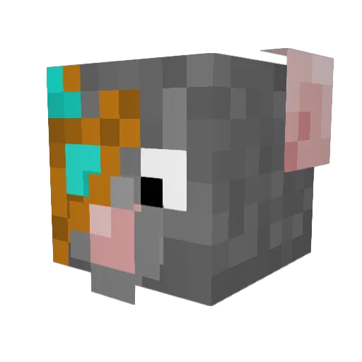 Ratman_cheese Minecraft avatar head, 3D render