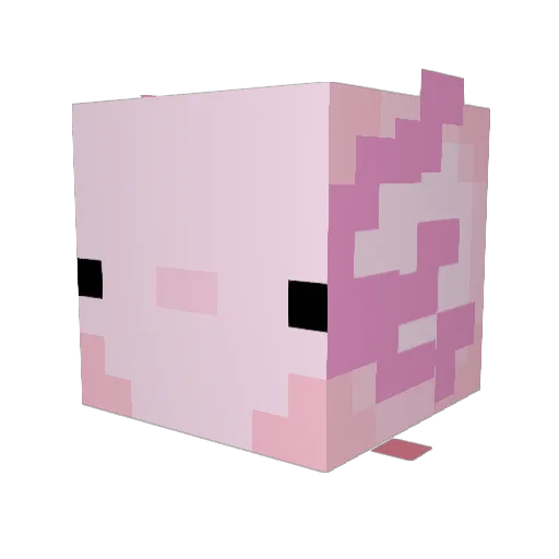 Rato564_ Minecraft avatar head, 3D render