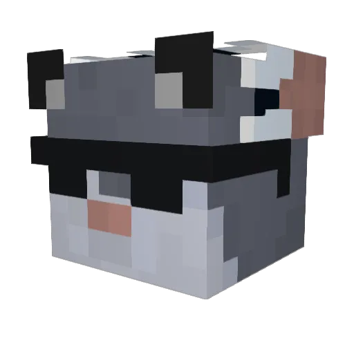 Rato_Imundo Minecraft avatar head, 3D render