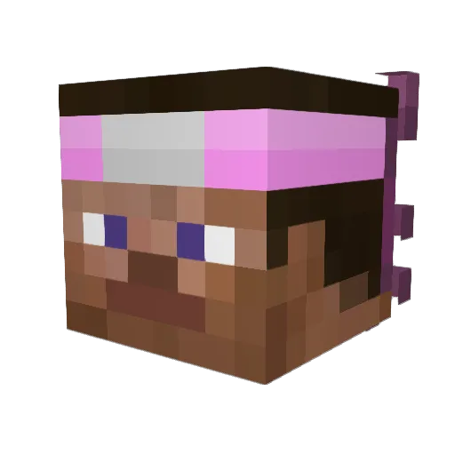 Raton___ Minecraft avatar head, 3D render