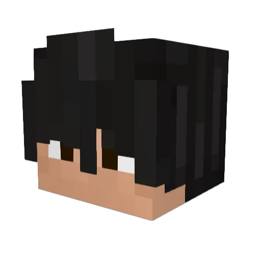 Ratonnus_ Minecraft avatar head, 3D render