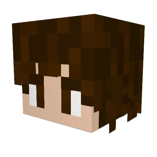 Ratooski Minecraft avatar head, 3D render