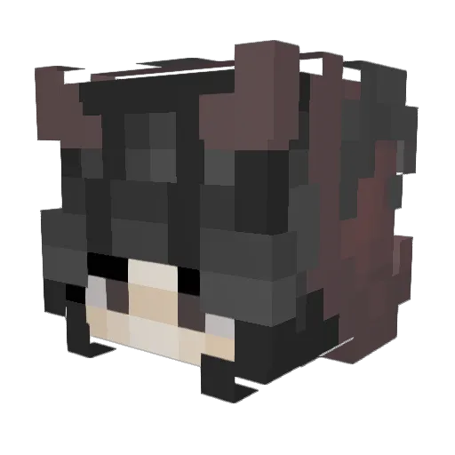 Ratsterbagster Minecraft avatar head, 3D render