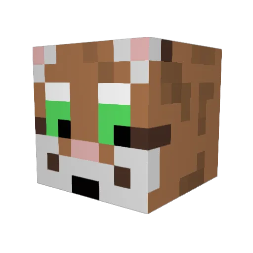 RattleSnakeRob Minecraft avatar head, 3D render