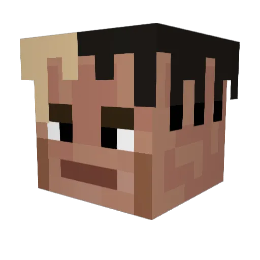 RattlingDuck845 Minecraft avatar head, 3D render