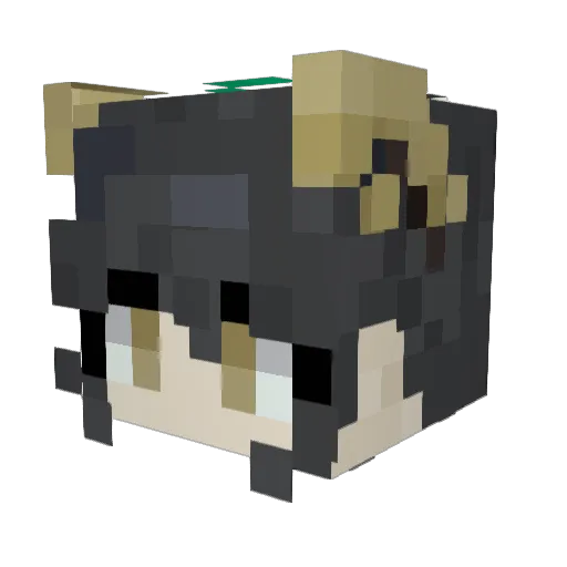 Rattlywheat Minecraft avatar head, 3D render