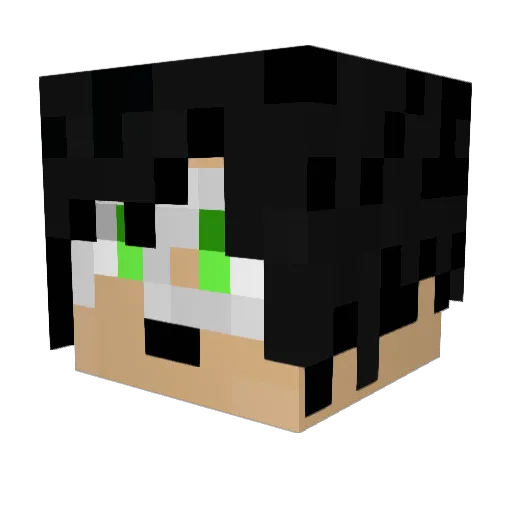 Rattnoize Minecraft avatar head, 3D render