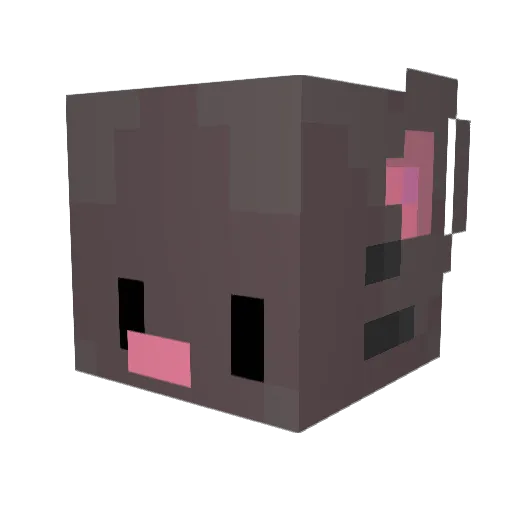 Rattusss Minecraft avatar head, 3D render