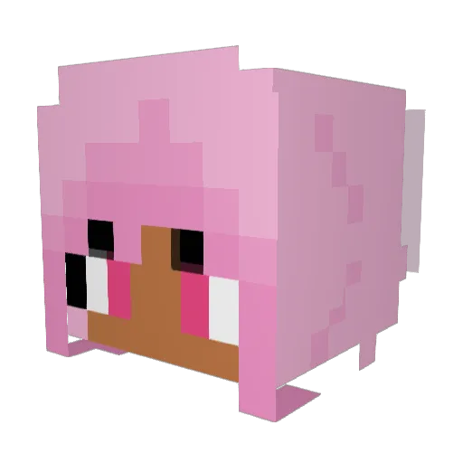 Rattytaps Minecraft avatar head, 3D render