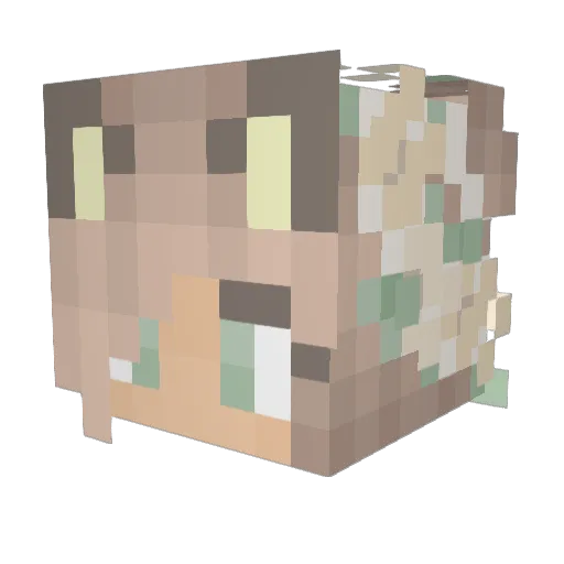 Ratxtouii Minecraft avatar head, 3D render