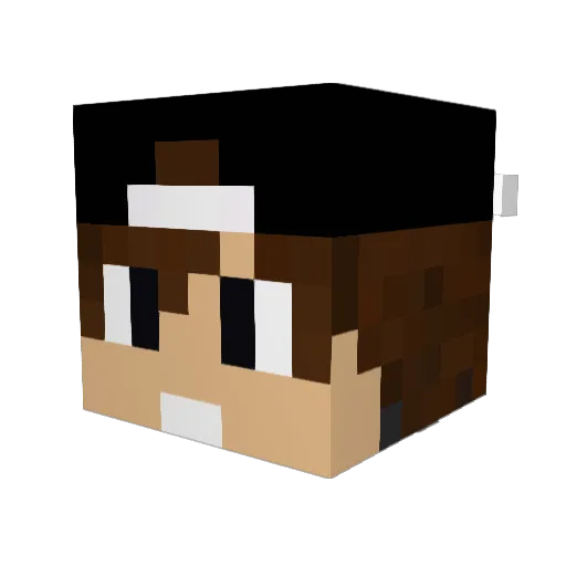 Ratzeron Minecraft avatar head, 3D render