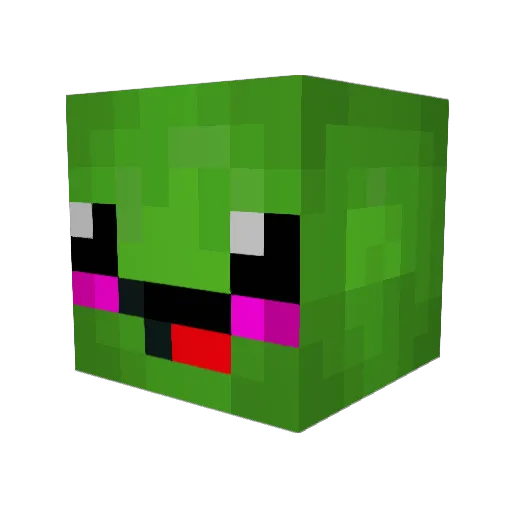 RauSorn Minecraft avatar head, 3D render