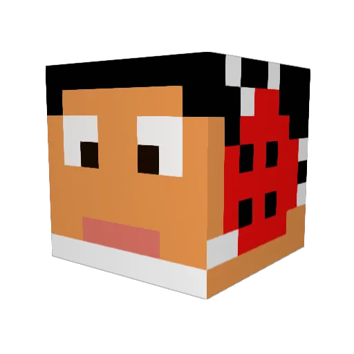 RauTheWrestler Minecraft avatar head, 3D render